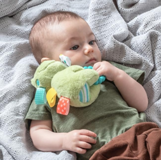 image:imageTaggies Soft Baby Rattle with Soothing Teether Ring and Sensory Tags 6Inches Green Peepers FrogGreen Peepers Frog