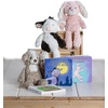 image:imageMary Meyer Board Book Putty Nursery Storytime Books for Babies and Toddlers 6 x 6Inches Where is Puttys BoneWhere is Puppys Bone