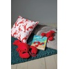 image:imageMary Meyer Board Book Storytime Books for Babies and Toddlers 8 x 8Inches The Not So Very Scary MonstersLobbie Lobster