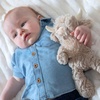 image:imageMary Meyer Putty Nursery Stuffed Animal Huggable Soothing Soft Toy 11Inches Brown Highland CowHighland Cow