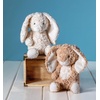image:imageMary Meyer Stuffed Animal Again Friends Soft Toy 11Inches Hugo BunnyPresto Bunny