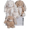 image:imageMary Meyer Stuffed Animal Again Friends Soft Toy 11Inches Hugo BunnySunny Bunny