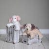 image:imageMary Meyer Stuffed Animal FabFuzz Plush Soft Toy 10Inches Hannah Puppy PinkHannah Puppy Pink