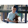 image:imageMary Meyer Stuffed Animal Marshmallow Zoo Plush Soft Toy 13Inches Cupcake KittyMoose