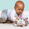 image:imageMary Meyer Taggies Soft Toy Heather Hedgehog 8 Inch Pack of 1Heather Soft Toy