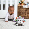 image:imageMary Meyer Taggies Soft Toy Heather Hedgehog 8 Inch Pack of 1Heather Soft Toy
