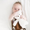 image:imageMary Meyer Teddy Bear  Putty Collection Super Soft Stuffed Animal Plush Classic Toy Plushie 17 Medium Shadow GreyCream