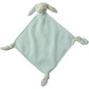 Green Bunny