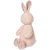 Sweet Dreams Bunny