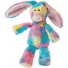 Tie Dye Bunny