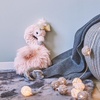 image:imageMary Meyer FabFuzz Stuffed Animal Soft Toy Francesca Flamingo 19Inches