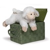 image:imageMary Meyer Inspirational WindUp Musical Lamb Soft Toy Jesus Loves Me1 Count Pack of 1