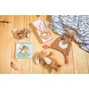 image:imageMary Meyer Leika Lovey Soft Toy 10 Inches Little RaccoonLittle Bunny