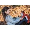 image:imageMary Meyer Stuffed Animal Cozy Toes Soft Toy 17Inches AlligatorFox