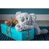 image:imageMary Meyer Stuffed Animal Cozy Toes Soft Toy 17Inches AlligatorKoala