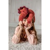 image:imageMary Meyer Stuffed Animal Cozy Toes Soft Toy 17Inches Triceratops