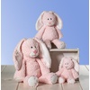 image:imageMary Meyer Stuffed Animal Marshmallow Zoo Soft Toy 13Inches Primrose BunnyBig Primrose Bunny