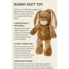 image:imageMary Meyer Stuffed Animal Marshmallow Zoo Soft Toy 13Inches Primrose BunnyHumphrey Bunny