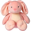 image:imageMary Meyer Stuffed Animal Smootheez PillowSoft Toy 10Inches Sting RayPink Hippity Hop Bunny