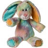 image:imageMary Meyer Toy Plush Marshmallow Teddy W Scarf 9 InchHoney Dew Bunny