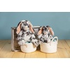 image:imageMary Meyer Toy Plush Marshmallow Teddy W Scarf 9 InchJunior Bravo Bunny