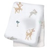Little Fawns