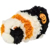 Candy Corn Guinea Pig