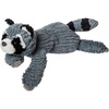 Raccoon