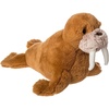 Walrus