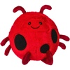 Lady Bug