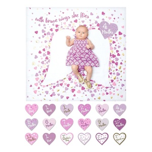 image:imagelulujo Baby First Year Milestone Blanket and Cards Set with Brave Wings